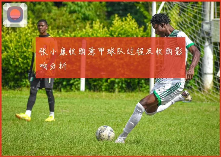 张小康收购意甲球队过程及收购影响分析