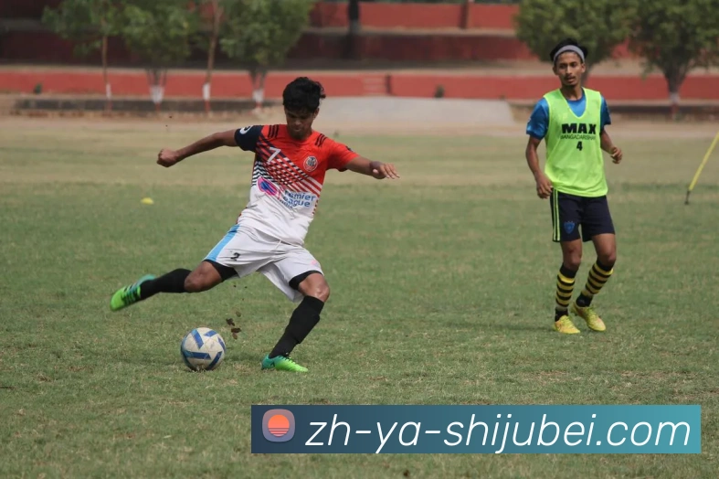 世界杯赛程表平台生态图